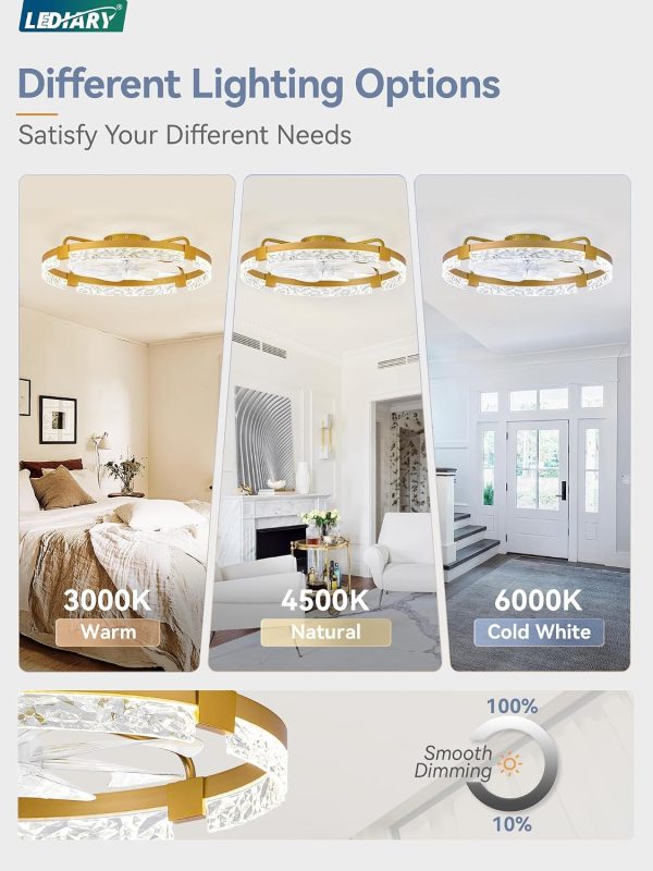 windphoto 2-Pack 24" Ceiling Fans with Lights, APP & Remote, Gold | Low Profile, Flush Mount, Fandelier, 3000K-6000K, Dimmable LED, for Bedroom