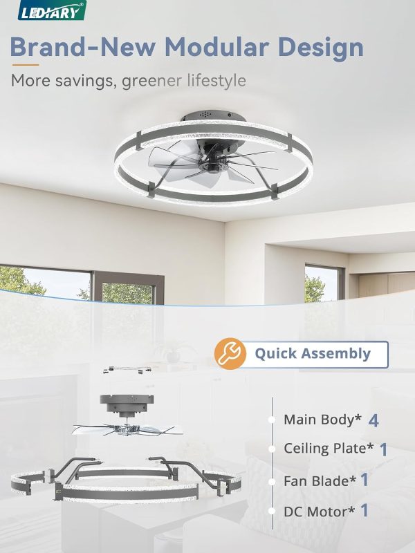 windphoto 24'' Modern Low Profile Ceiling Fans with Lights and Remote, Gray | 3000-6000K Dimmable LED, 6 Wind Speeds, Quiet Reversible DC Motor, Small Flush Mount Fandelier for Bedroom, Living Room