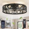 windphoto 23" Caged Farmhouse Ceiling Fan with Light, Flush Mount, Black | Remote&APP Control, Large Low Profile, Rustic Fandaliers, Industrial Bladeless Enclosed, Powerful Motor for Bedroom, Kitchen