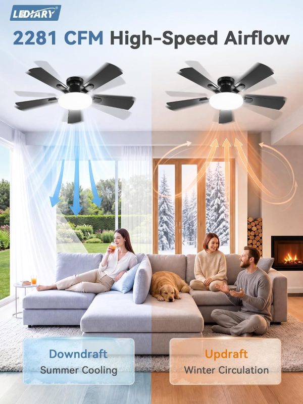 81-TpboXrgL._AC_SL1500_.jpg windphoto 42 Inch Flush Mount Ceiling Fans with Lights, Remote & APP Control | Bright Light, 3CCT, Dimmable, Memory Function, Timer, Reversible Blade, Quiet DC Motor, Damp-Rated, Bedroom, Covered Patio