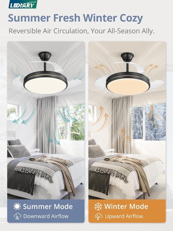 81-tDZ9zSoL._AC_SL1500_.jpg windphoto Retractable Ceiling Fan with Lights and Remote & APP Control, 42 Inch Fandelier Ceiling Fan with Light, 6 Speed Dimmable Reversible Memory, Modern Silent Smart Fan for Bedroom Living Room