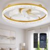 windphoto 24" Low Profile Ceiling Fans with Light and Remote, Fandelier Gold | Reversible Airflow, 3000-6000K Dimmable LED, 6 Speeds, DC Motor, Memory, Timer, Flush Mount, Bedroom, Living Room, Kitchen