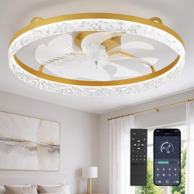 windphoto 24" Low Profile Ceiling Fans with Light and Remote, Fandelier Gold | Reversible Airflow, 3000-6000K Dimmable LED, 6 Speeds, DC Motor, Memory, Timer, Flush Mount, Bedroom, Living Room, Kitchen
