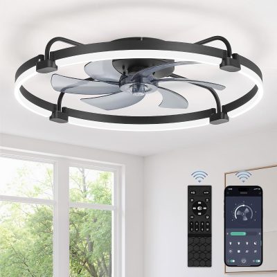 windphoto 26" Ceiling Fans with Lights and Remote, Low Profile Led Fan Light | Flush Mount, Stepless Dimmable Fandelier, 6 Speeds, 3 CCT, Quiet Reversible DC Motor, 2H Timer, Bedroom, Living Room, Black