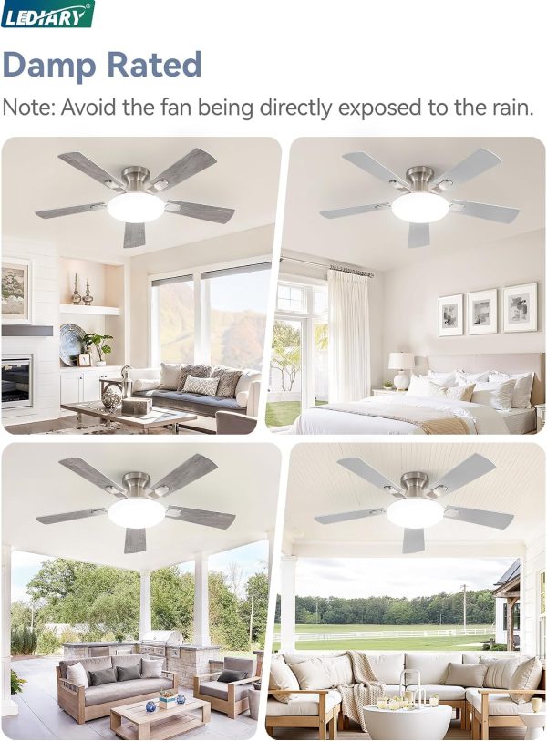 811fEg4NcyL._AC_SL1500_.jpg windphoto 42 Inch Flush Mount Ceiling Fans with Lights, Remote & APP Control | Bright Light, 3CCT, Dimmable, Memory Function, Timer, Reversible Blade, Quiet DC Motor, Damp-Rated, Bedroom, Covered Patio