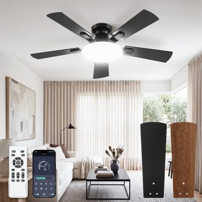 814HYVoOrWL._AC_SL1500_.jpg windphoto 42 Inch Flush Mount Ceiling Fans with Lights, Remote & APP Control | Bright Light, 3CCT, Dimmable, Memory Function, Timer, Reversible Blade, Quiet DC Motor, Damp-Rated, Bedroom, Covered Patio