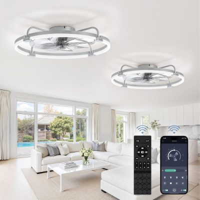 817nyMoSZZL._AC_SL1500_.jpg windphoto 2 Pack 24" Ceiling Fans with Lights and Remote, Low Profile | Flush Mount, Stepless Dimmable Fandelier, 6 Speeds, 3 CCT, Quiet Reversible DC Motor, 2H Timer, Bedroom, Living Room, Grey