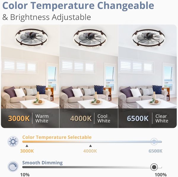81823KRLOQL._AC_SL1500_.jpg windphoto 2 Pack 24" Ceiling Fans with Lights and Remote, Fandelier Brown | 3CCT, 6 Speeds, Dimmable Low Profile, Flush Mount Ceiling Fan, Timer, Reversible, Memory, Bedroom, Living Room, Kitchen