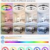 818LVaDJHL._AC_SL1500_.jpg windphoto RGB Low Profile Ceiling Fans with Lights and Remote, 20 Inch Dimmable Modern Fan Light(3000K-6000K), 6 Speed, Reversible, APP & Remote Control, Flush Mount Ceiling Fan for Bedroom, Black