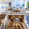 windphoto 24" Low Profile Ceiling Fans with Lights, Remote/APP Control, Grey | Wider Airflow, Stepless Dimmable LED, Quiet Reversible DC Motor, 6 Speeds, 3CCT, Timer, Bedroom, Living Room, Kitchen