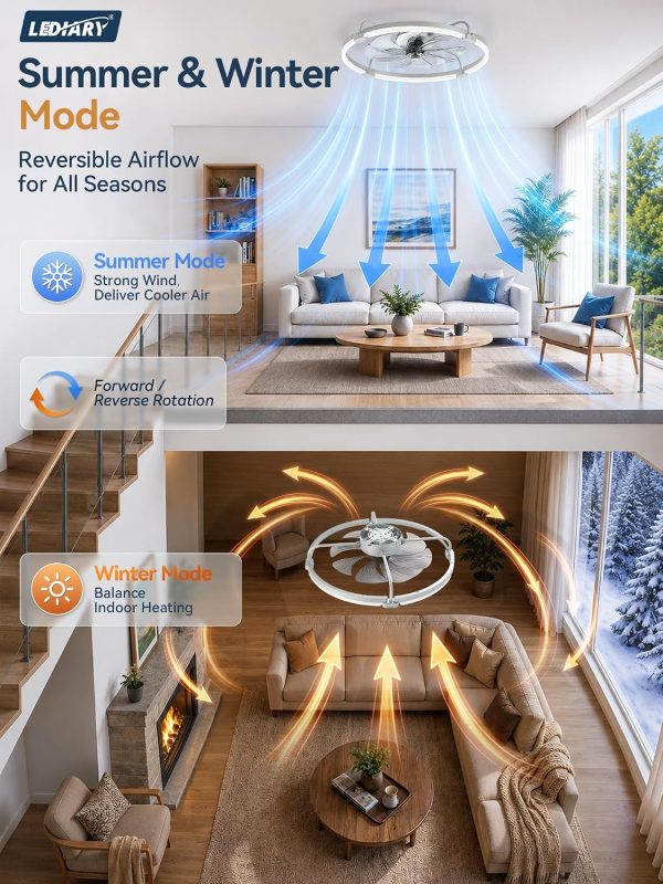 windphoto 24" Low Profile Ceiling Fans with Lights, Remote/APP Control, Grey | Wider Airflow, Stepless Dimmable LED, Quiet Reversible DC Motor, 6 Speeds, 3CCT, Timer, Bedroom, Living Room, Kitchen