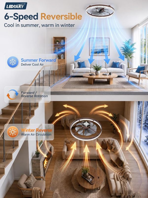 windphoto 24" Low Profile Ceiling Fans with Light and Remote, Fandelier Browm | Reversible Airflow, 3000-6000K Dimmable LED, 6 Speeds, DC Motor, Memory, Timer, Flush Mount, Bedroom, Living Room, Kitchen
