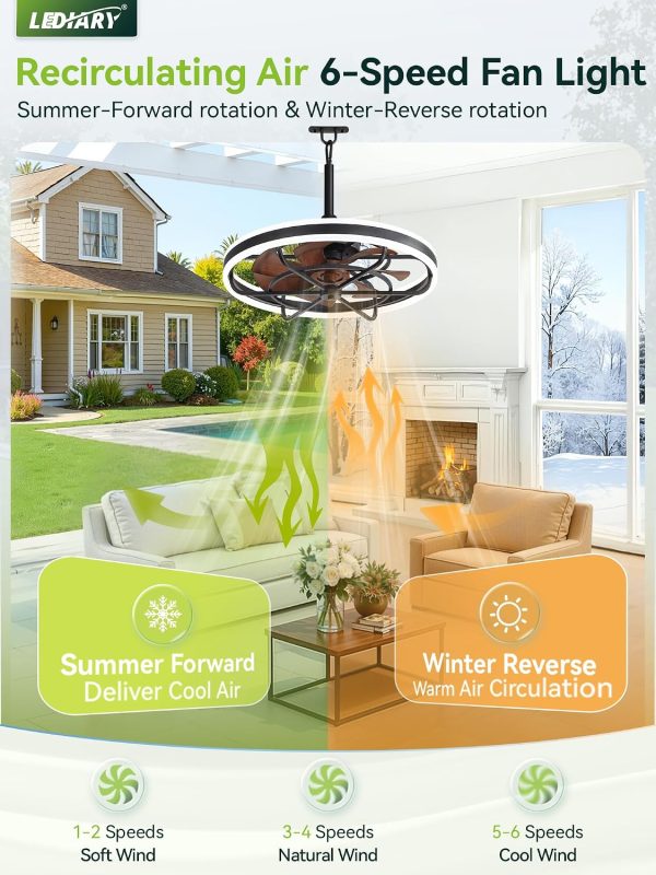 windphoto 24" Outdoor Ceiling Fans with Light, IP65 Waterproof Gazebo Fan | Outdoor Fan with Hanging Hook, Remote & App Control, 3CCT Dimmable,Timer, Caged Plug in Ceiling Fan for Patio, Porch, Pergola