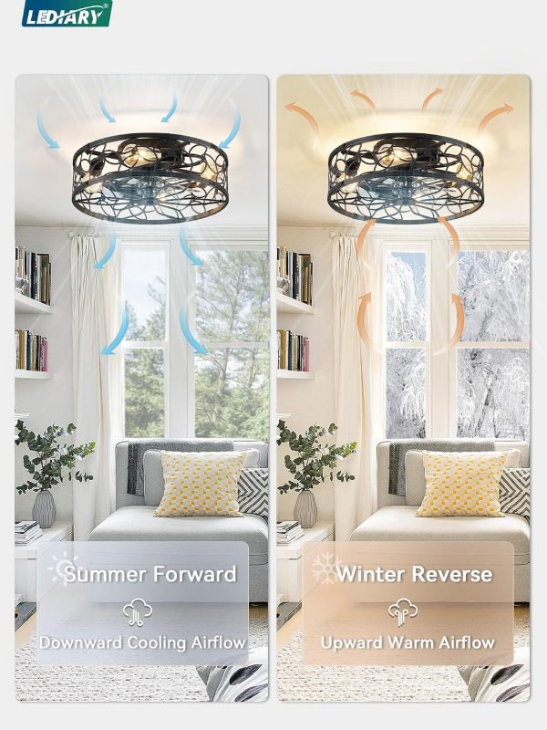 81EOWAHBCcL._AC_SL1500_.jpg windphoto Caged Ceiling Fan with Light, Flush Mount Fandalier with Remote | Low Profile, Farmhouse Small, Bladeless Industrial, Quiet DC Motor, App Control for Bedroom, Kitchen, Dining Room, Black