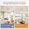 81FEJCS158L._AC_SL1500_.jpg windphoto 20" Caged Farmhouse Ceiling Fans with Lights and Remote/App, White | Flush Mount Bladeless Low Profile, Fandalier Small Rustic, Industrial Enclosed, Quiet & Powerful for Bedroom, Kitchen, Indoor