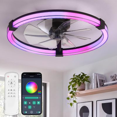 windphoto Ceiling Fan with Light,23inch Low Profile Fandelier with Remote RGB | RGB,6 Speeds, Reversible DC Motor, Dimmable Flush Mount Fan Light, Modern fans for Bedroom