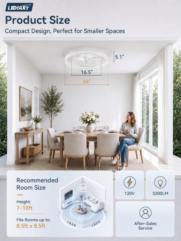 windphoto 24" Low Profile Ceiling Fans with Light and Remote, Fandelier White | Reversible Airflow, 3000-6000K Dimmable LED, 6 Speeds, DC Motor, Memory, Timer, Flush Mount, Bedroom, Living Room, Kitchen