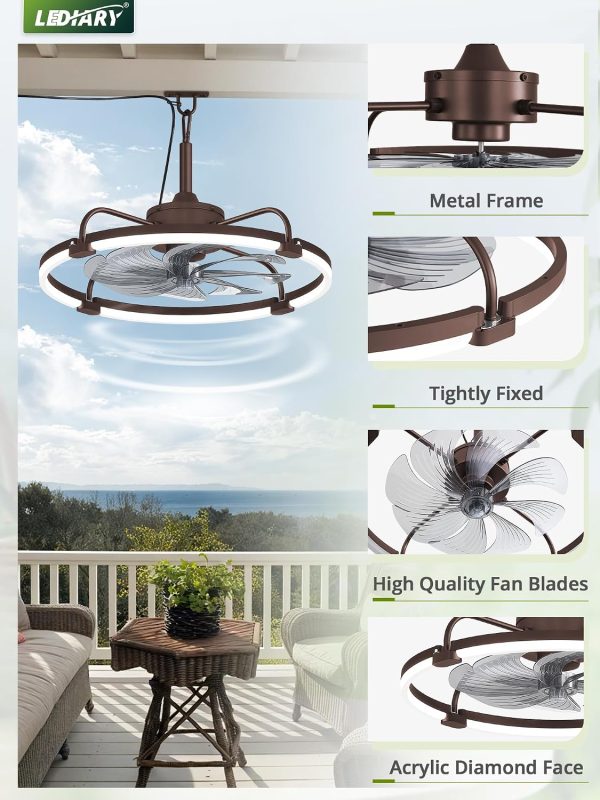windphoto 24" Waterproof Brown Outdoor Ceiling Fan with Light for Gazebo | IP65 Wet Rated,APP Control,6-Speeds,3CCT Dimmable,Reverse DC Motor,Suitable for 12' x 14' Area,Plug In for Patio,Porch