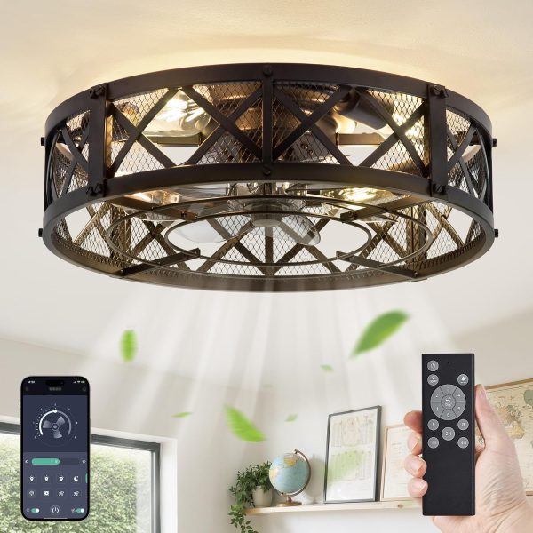windphoto 20" Caged Farmhouse Ceiling Fan with Light, Flush Mount, Black | Remote&APP Control, Small Low Profile, Rustic Fandaliers, Industrial Bladeless Enclosed, Powerful Motor for Bedroom, Kitchen