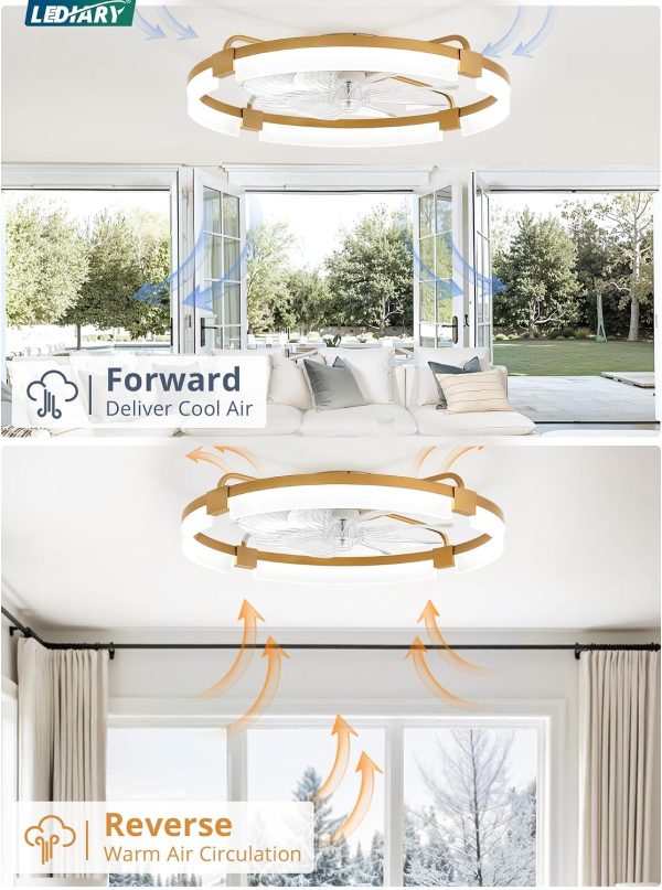 windphoto 24" Ceiling Fans with Lights, Low Profile Fandelier for Bedroom | Flush Mount Fan Light, Stepless Dimmable, App/Remote Control, 3 CCT Led, 6 Speeds, Quiet Reversible DC Motor, Gold