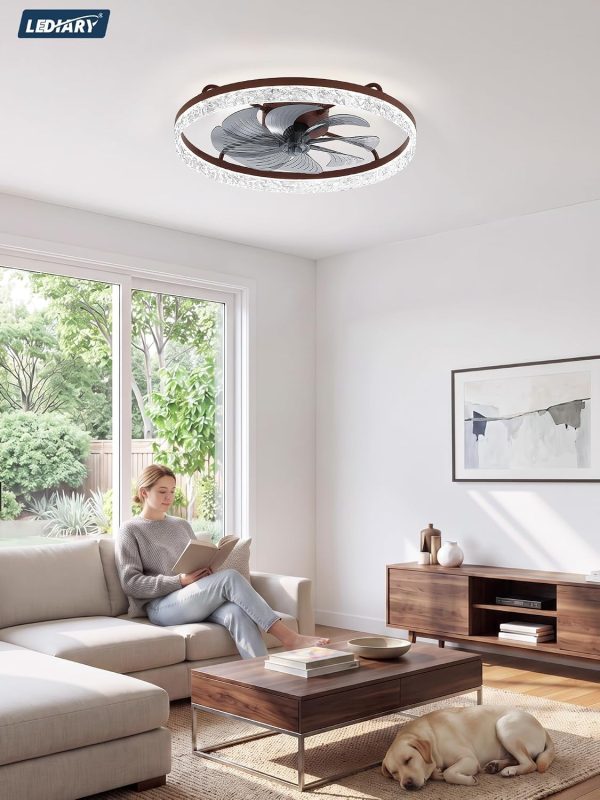 windphoto 24" Low Profile Ceiling Fans with Light and Remote, Fandelier Browm | Reversible Airflow, 3000-6000K Dimmable LED, 6 Speeds, DC Motor, Memory, Timer, Flush Mount, Bedroom, Living Room, Kitchen