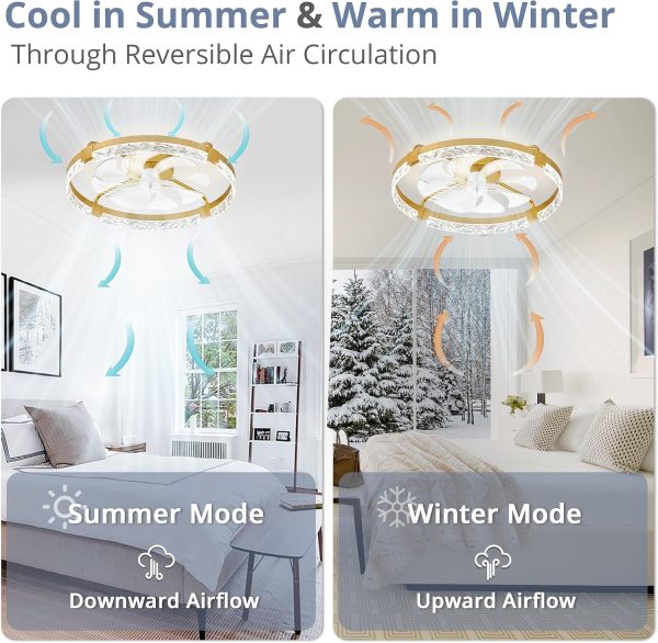 windphoto 2 Pack 24" Ceiling Fans with Lights and Remote, Fandelier Gold | 3CCT, 6 Speeds, Dimmable Low Profile, Flush Mount Ceiling Fan, Timer, Reversible, Memory, Bedroom, Living Room, Kitchen