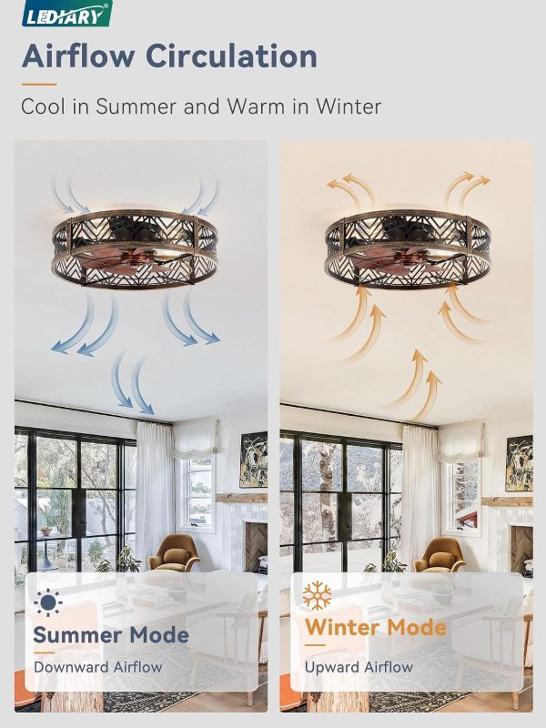 windphoto 23" Caged Ceiling Fan with Light and Remote, Fandalier, Black Gold | Flush Mount Low Profile, APP Control, Rustic Bladeless Industrial Enclosed, Quiet & Powerful for Bedroom,Kitchen,Dining Room