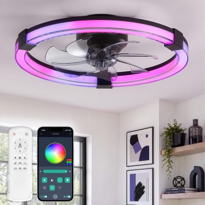 windphoto Ceiling Fan with Light,20inch Low Profile Fandelier with Remote RGB | RGB,6 Speeds, Reversible DC Motor, Dimmable Flush Mount Fan Light, Modern fans for Bedroom