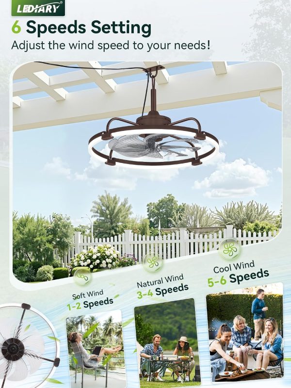 windphoto 24" Waterproof Brown Outdoor Ceiling Fan with Light for Gazebo | IP65 Wet Rated,APP Control,6-Speeds,3CCT Dimmable,Reverse DC Motor,Suitable for 12' x 14' Area,Plug In for Patio,Porch
