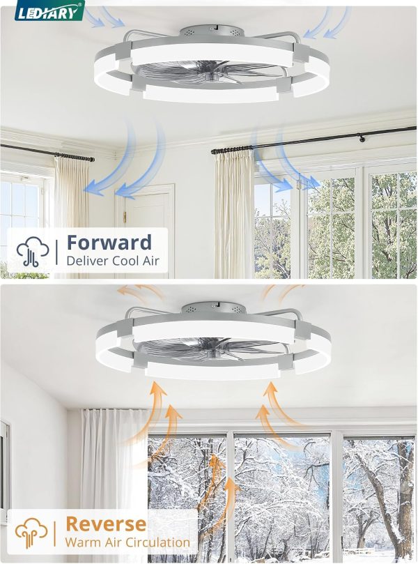 windphoto 24" Ceiling Fans with Lights, Low Profile Fandelier for Bedroom | Flush Mount Fan Light, Stepless Dimmable, App/Remote Control, 3 CCT Led, 6 Speeds, Quiet Reversible DC Motor, Grey