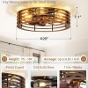 windphoto 20" Caged Low Profile Enclosed Ceiling Fan Light with Remote | Flush Mount, Bladeless Enclosed Fandelier, 6 Speed, Quiet Reversible DC, Rustic, Victorian, Rustic, Bedroom, Kitchen