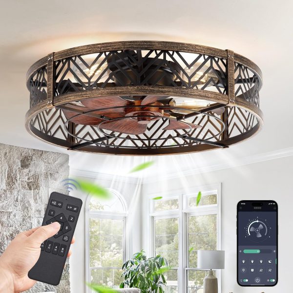 windphoto 23" Caged Ceiling Fan with Light and Remote, Fandalier, Black Gold | Flush Mount Low Profile, APP Control, Rustic Bladeless Industrial Enclosed, Quiet & Powerful for Bedroom,Kitchen,Dining Room