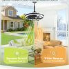 windphoto 20" Outdoor Ceiling Fans with Light, IP65 Waterproof Gazebo Fan