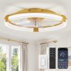 81T6dWCNUTL._AC_SL1500_.jpg windphoto Ceiling Fan with Light 20" Low Profile Fandelier with Remote Gold | 6 Speeds, Reversible, Dimmable Flush Mount Fan Light, Modern Ceiling Fan with Lights for Bedroom Bladeless