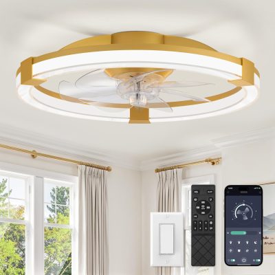 windphoto Ceiling Fan with Light 20" Low Profile Fandelier with Remote Gold | 6 Speeds, Reversible, Dimmable Flush Mount Fan Light, Modern Ceiling Fan with Lights for Bedroom Bladeless