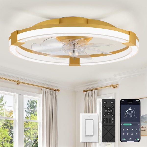 81T6dWCNUTL._AC_SL1500_.jpg windphoto Ceiling Fan with Light 20" Low Profile Fandelier with Remote Gold | 6 Speeds, Reversible, Dimmable Flush Mount Fan Light, Modern Ceiling Fan with Lights for Bedroom Bladeless