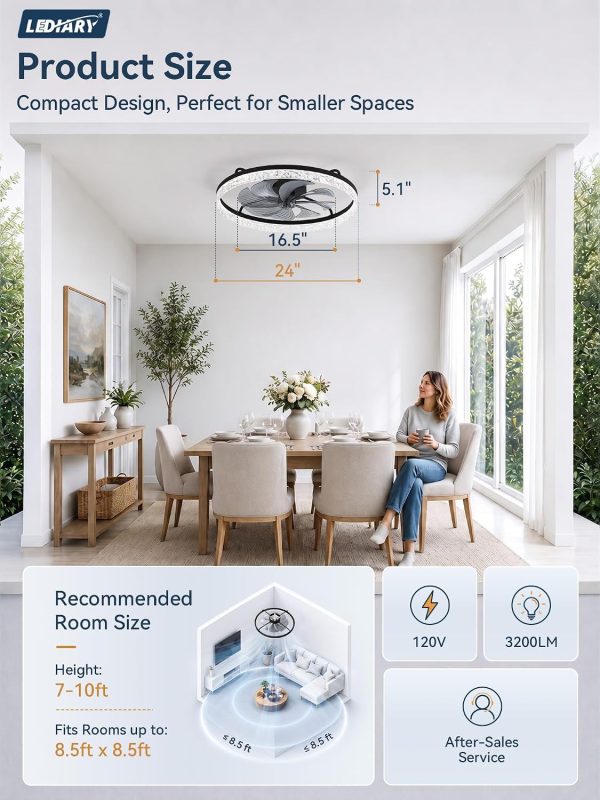 windphoto 24" Low Profile Ceiling Fans with Light and Remote, Fandelier Black | Reversible Airflow, 3000-6000K Dimmable LED, 6 Speeds, DC Motor, Memory, Timer, Flush Mount, Bedroom, Living Room, Kitchen