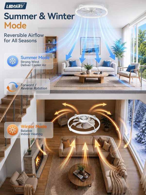 windphoto 24" Low Profile Ceiling Fans with Lights, Remote/APP Control, White | Wider Airflow, Stepless Dimmable LED, Quiet Reversible DC Motor, 6 Speeds, 3CCT, Timer, Bedroom, Living Room, Kitchen