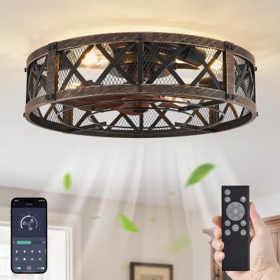windphoto 20" Caged Farmhouse Ceiling Fan with Light, Flush Mount, Black Gold | Remote&APP Control, Small Low Profile, Rustic Fandaliers, Industrial Bladeless Enclosed, Powerful Motor for Bedroom, Kitchen
