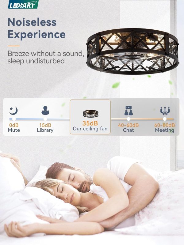windphoto 20" Caged Farmhouse Ceiling Fan with Light, Flush Mount, Black | Remote&APP Control, Small Low Profile, Rustic Fandaliers, Industrial Bladeless Enclosed, Powerful Motor for Bedroom, Kitchen