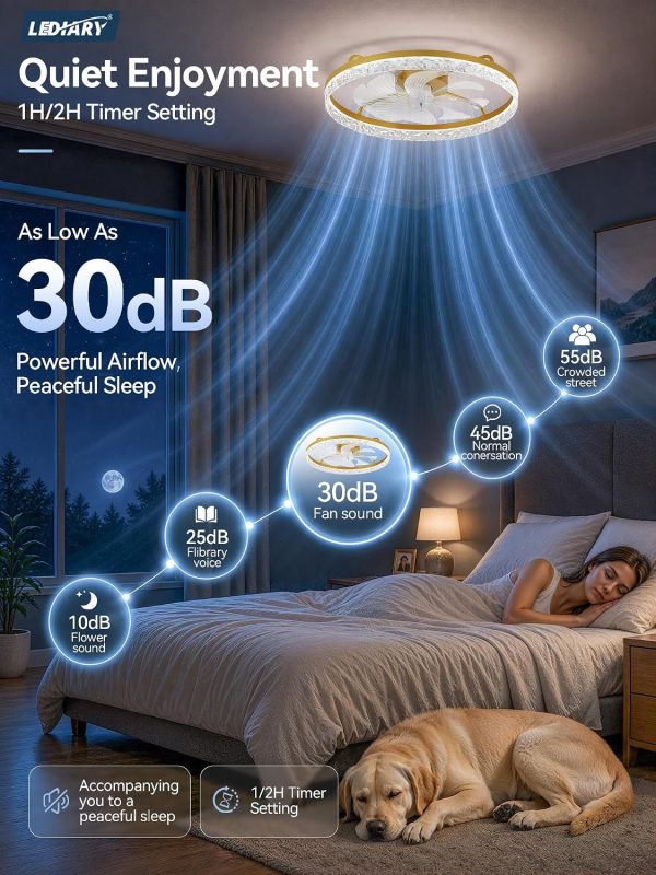 windphoto 24" Low Profile Ceiling Fans with Light and Remote, Fandelier Gold | Reversible Airflow, 3000-6000K Dimmable LED, 6 Speeds, DC Motor, Memory, Timer, Flush Mount, Bedroom, Living Room, Kitchen