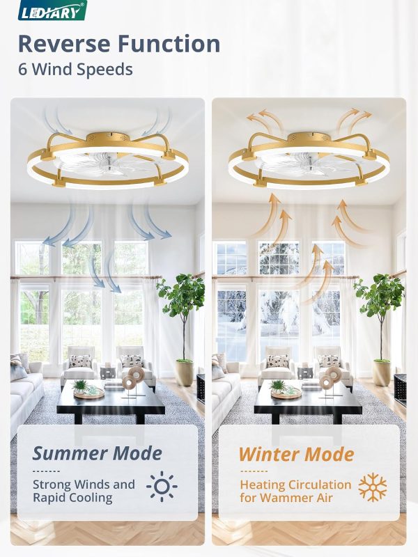 windphoto 24" Ceiling Fans with Lights and Remote, Low Profile Led Fan Light | Flush Mount, Stepless Dimmable Fandelier, 6 Speeds, 3 CCT, Quiet Reversible DC Motor, 2H Timer, Bedroom, Living Room, Gold