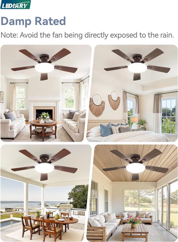 81XEz5On7-L._AC_SL1500_.jpg windphoto 42 Inch Flush Mount Ceiling Fans with Lights, Remote & APP Control | Bright Light, 3CCT, Dimmable, Memory Function, Timer, Reversible Blade, Quiet DC Motor, Damp-Rated, Bedroom, Covered Patio
