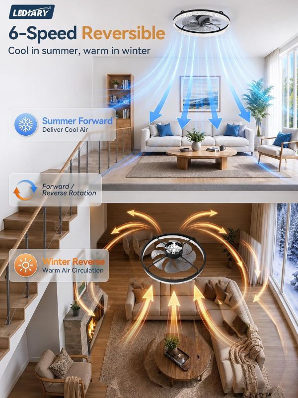 windphoto 24" Low Profile Ceiling Fans with Light and Remote, Fandelier Black | Reversible Airflow, 3000-6000K Dimmable LED, 6 Speeds, DC Motor, Memory, Timer, Flush Mount, Bedroom, Living Room, Kitchen