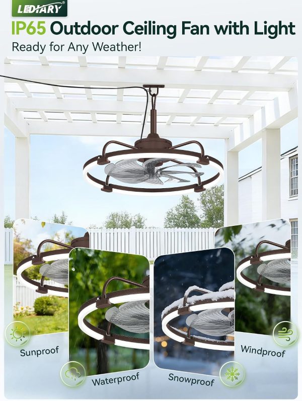 windphoto 24" Waterproof Brown Outdoor Ceiling Fan with Light for Gazebo | IP65 Wet Rated,APP Control,6-Speeds,3CCT Dimmable,Reverse DC Motor,Suitable for 12' x 14' Area,Plug In for Patio,Porch