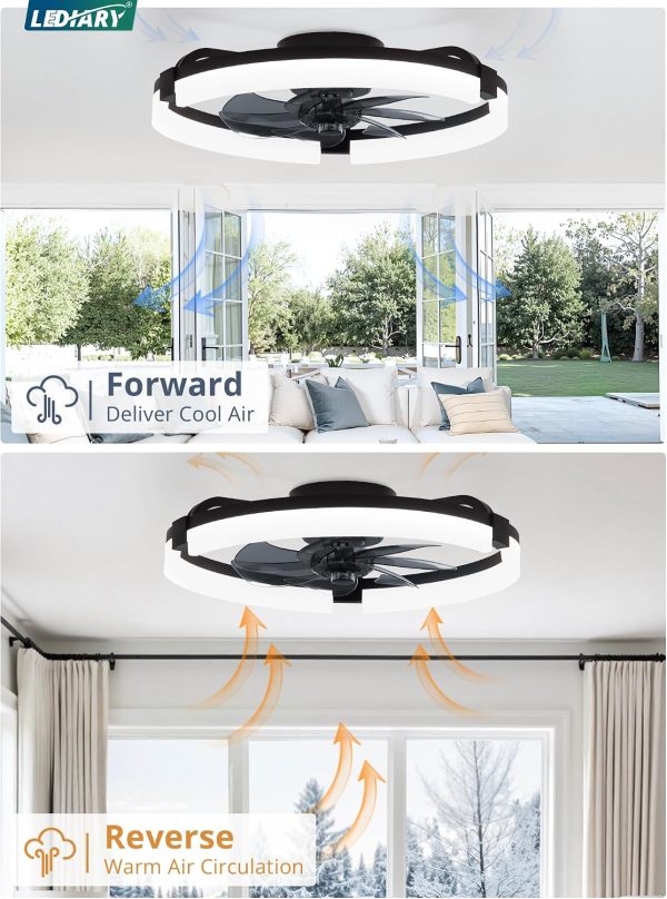 81YmG1mZ49L._AC_SL1500_.jpg windphoto 2 Pack 20" Ceiling Fans with Lights, Fandelier for Bedroom | Flush Mount Fan Light, Stepless Dimmable, App/Remote Control, 3 CCT Led, 6 Speeds, Quiet Reversible DC Motor, Black