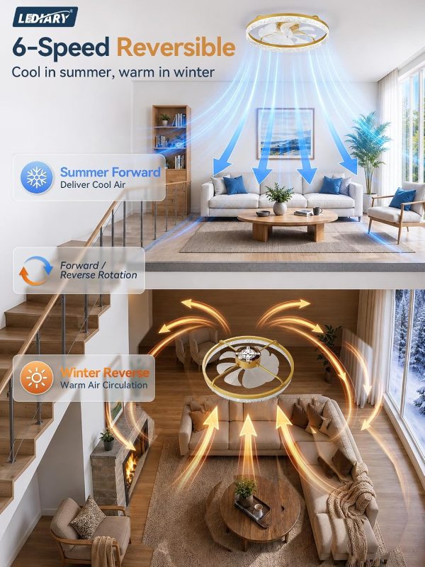 windphoto 24" Low Profile Ceiling Fans with Light and Remote, Fandelier Gold | Reversible Airflow, 3000-6000K Dimmable LED, 6 Speeds, DC Motor, Memory, Timer, Flush Mount, Bedroom, Living Room, Kitchen