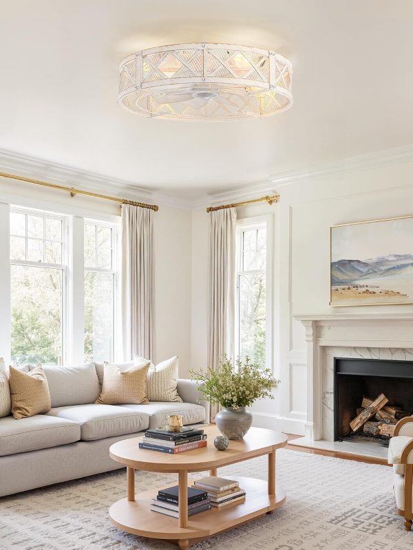 81aV5QIDGwL._AC_SL1500_.jpg windphoto 23" Caged Farmhouse Ceiling Fan with Light, Flush Mount, White Gold | Remote&APP Control, Large Low Profile, Rustic Fandaliers, Industrial Bladeless Enclosed, Powerful Motor for Bedroom, Kitchen