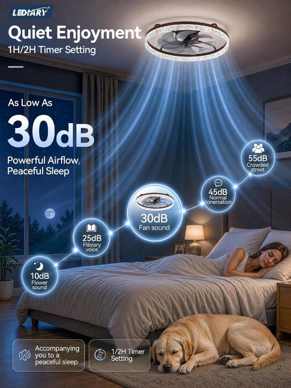 windphoto 24" Low Profile Ceiling Fans with Light and Remote, Fandelier Browm | Reversible Airflow, 3000-6000K Dimmable LED, 6 Speeds, DC Motor, Memory, Timer, Flush Mount, Bedroom, Living Room, Kitchen