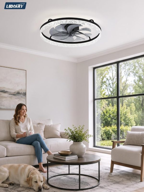 windphoto 24" Low Profile Ceiling Fans with Light and Remote, Fandelier Black | Reversible Airflow, 3000-6000K Dimmable LED, 6 Speeds, DC Motor, Memory, Timer, Flush Mount, Bedroom, Living Room, Kitchen